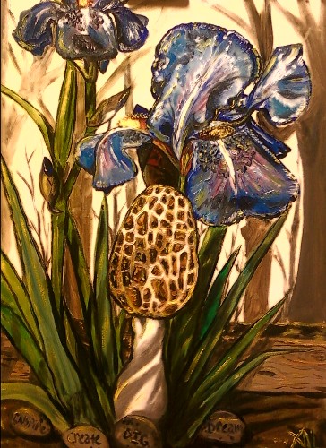 Morel in the Iris Bed