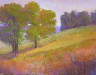 Within The Field