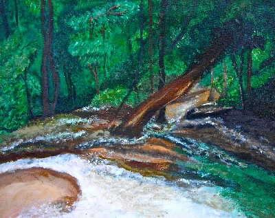 dunns river